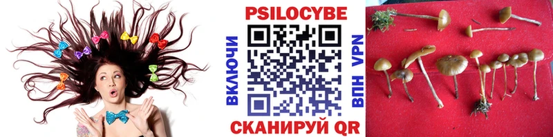 Галлюциногенные грибы Psilocybe  сколько стоит  Межгорье 